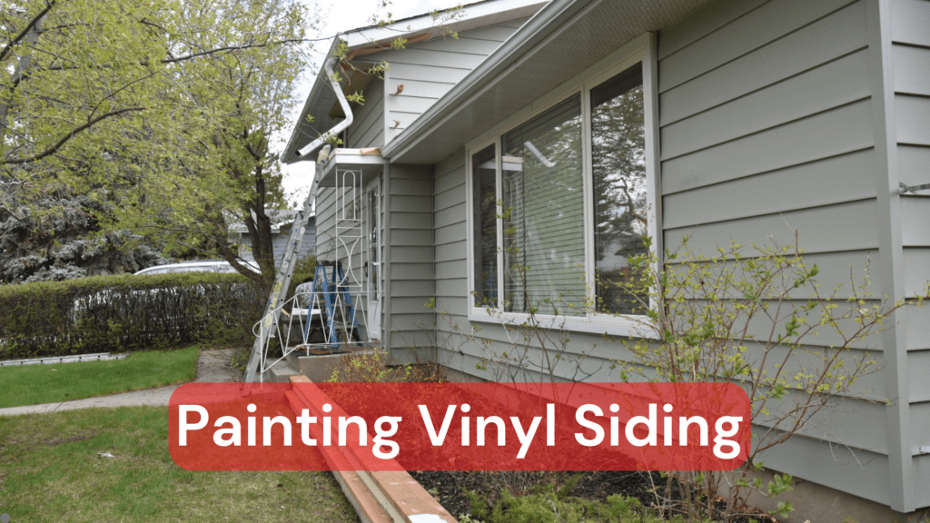 The exterior of a home with vinyl siding that has been painting professionally