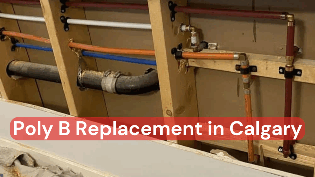 An open wall showcasing poly b replacement in Calgary