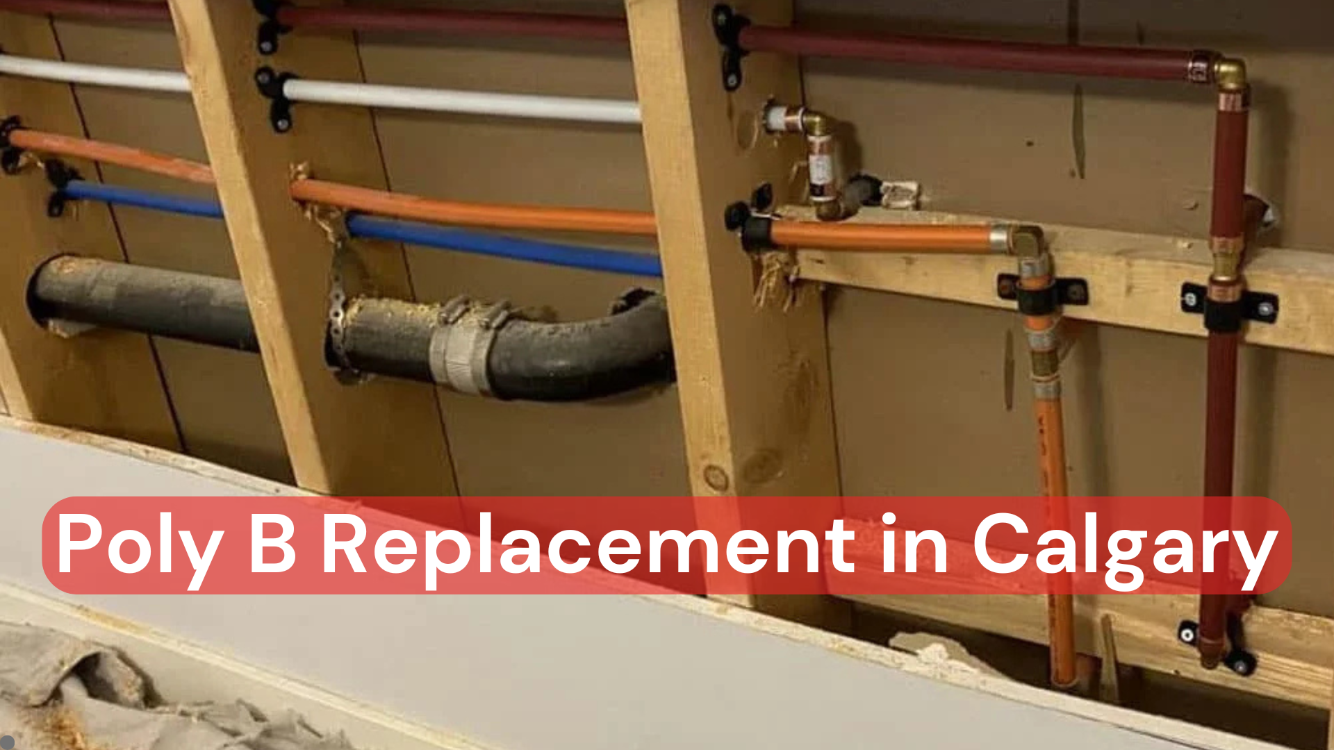 Poly B Replacement in Calgary: Risks and Fix Options