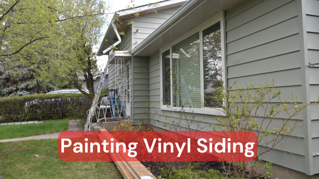 The exterior of a home with vinyl siding that has been painting professionally